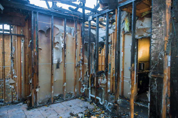 Professional Fire Damage Removal technician working in Frankfort, IN
